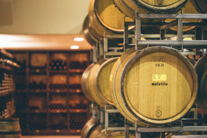 melville winery cellar