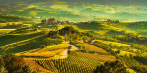 Piedmont and Franciacorta, Italy, with Chad Melville and Heathen Wine Tours